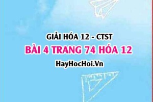 Giải bài 4 trang 74 Hóa 12 Chân trời sáng tạo SGK